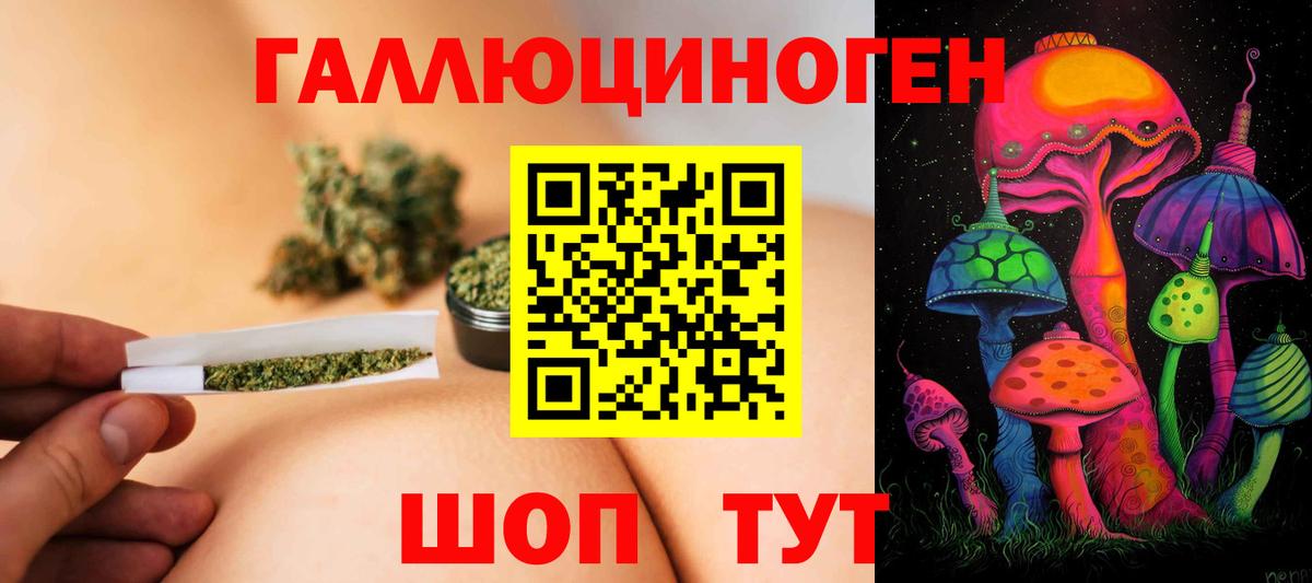 Ачхой-Мартан  Галлюциногенные грибы ЛСД  Галлюциногенные грибы MAGIC MUSHROOMS  Вход с VPN 