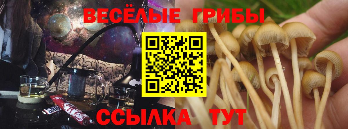 Галлюциногенные грибы мухоморы Ачхой-Мартан